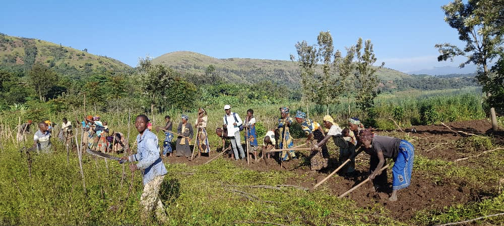Préparation du terrain pour cultures vivrières, ALDIV
